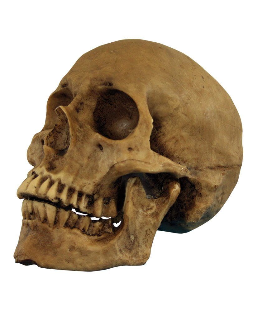 Horror-Shop Dekofigur Antik aussehender Totenschädel günstig online kaufen