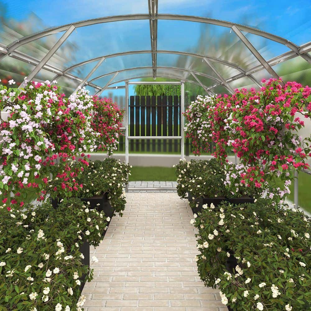 Terrando Gewächshaus Estragon 3x6m, BxT...