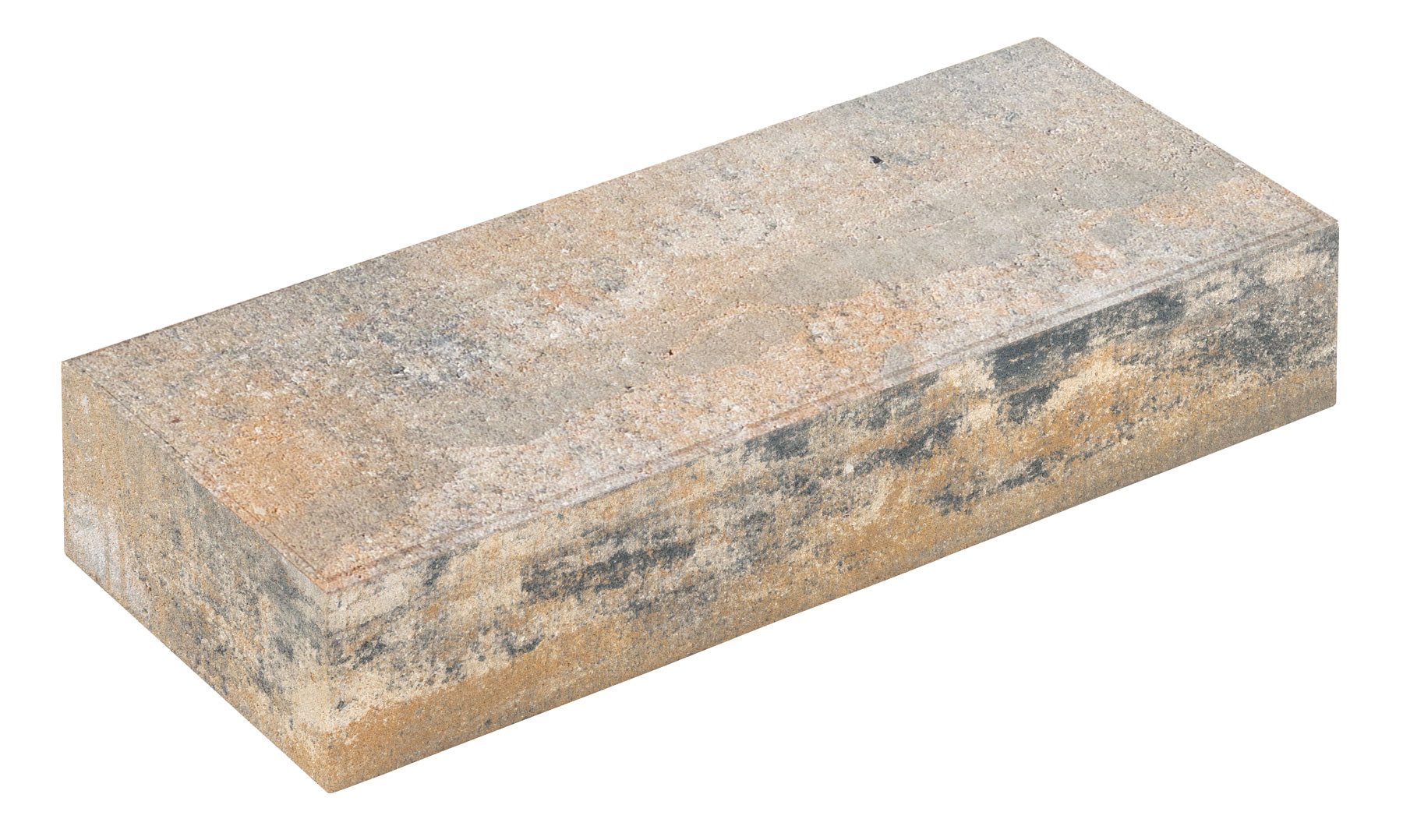 Diephaus Mauerstein LINEO MAUER MUSCHELKALK 60/25/12,5 CM