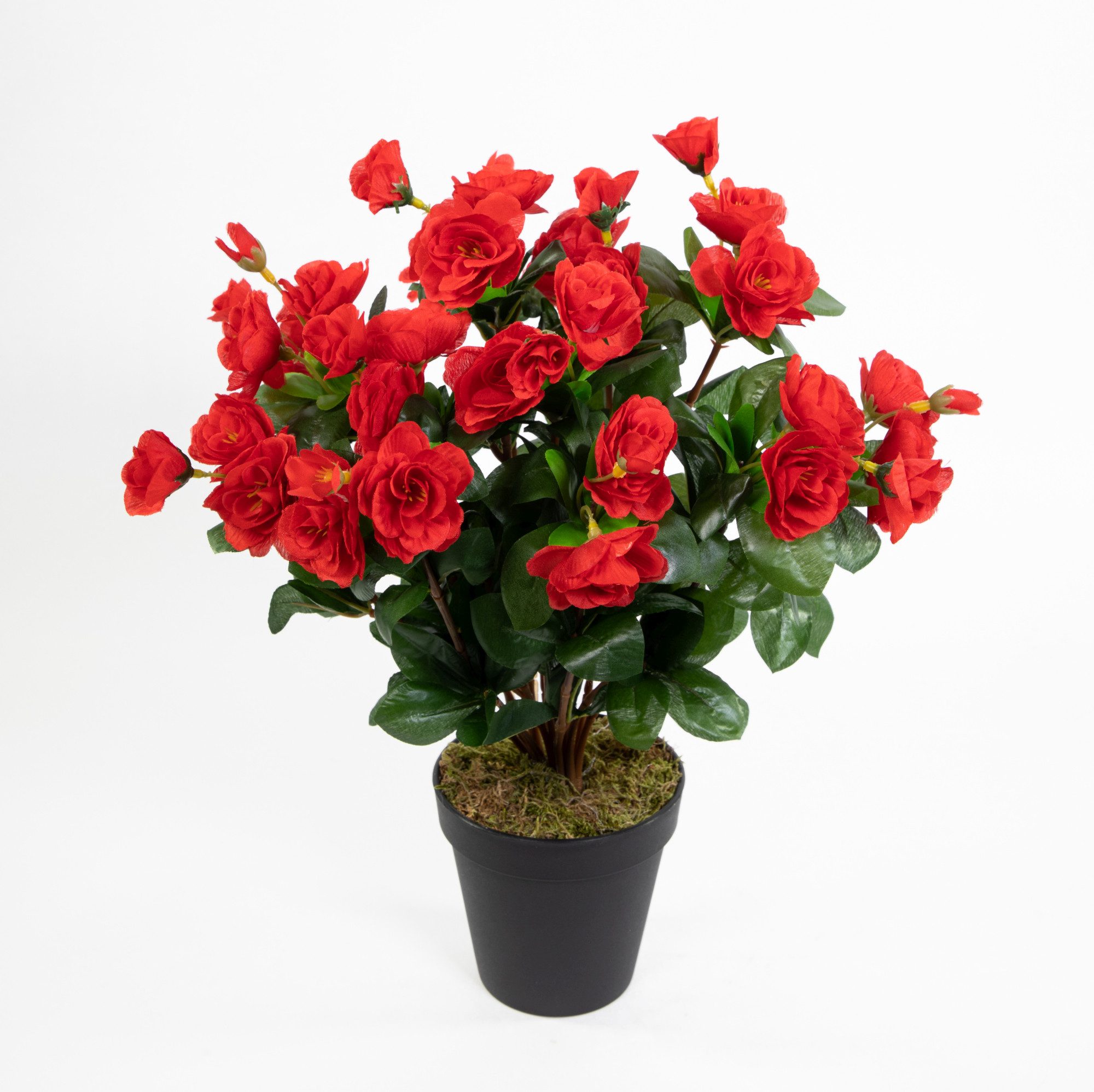 Kunstblume Azalee 40cm im Topf ZF günstig online kaufen