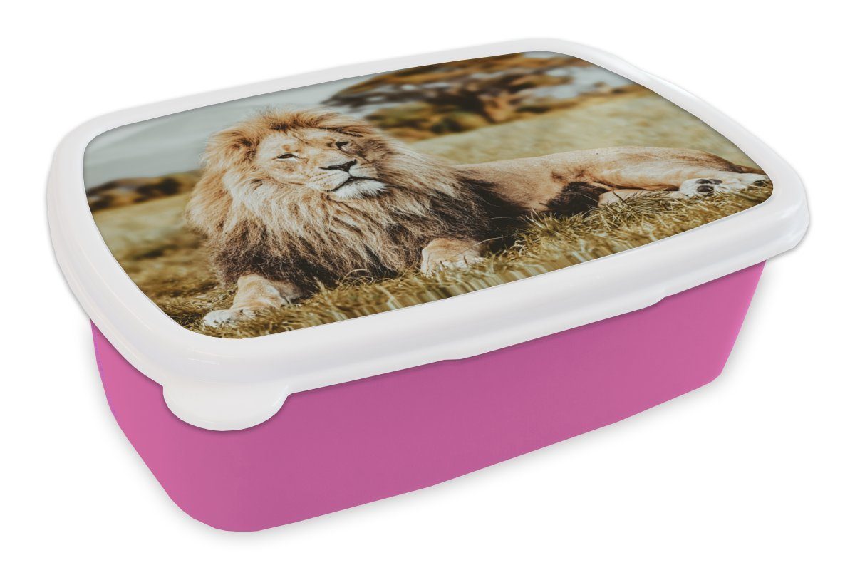 MuchoWow für Wild Brotdose - Lunchbox - Snackbox, Löwen Mädchen, Kinder, (2-tlg), Kunststoff, Brotbox Afrika, Erwachsene, Kunststoff rosa