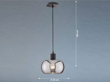 meineWunschleuchte LED Pendelleuchte, Dimmfunktion, LED wechselbar, 1x E27 8 Watt, 700 Lumen, mitgeliefertes Leuchtmittel über Lichtschalter in 3 Stufen dimmbar, Warmweiß, einflammig Lampenschirm rund Rauchglas Ø40cm klein, hängend 160cm lang