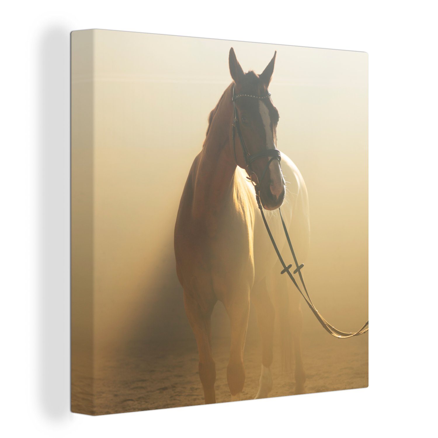 OneMillionCanvasses® Leinwandbild Pferd - Licht - Sand, (1 St), Leinwand Bilder für Wohnzimmer Schlafzimmer