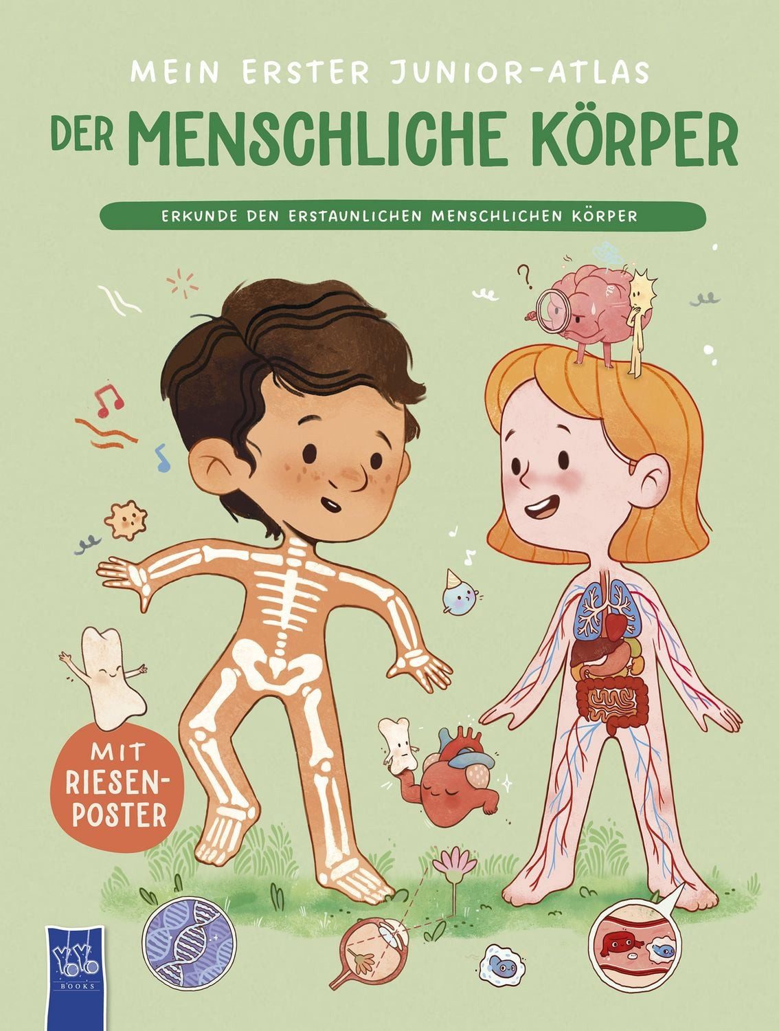 Mein erster Junior-Atlas: Der menschliche Körper Mit Riesenposter / diverse, X