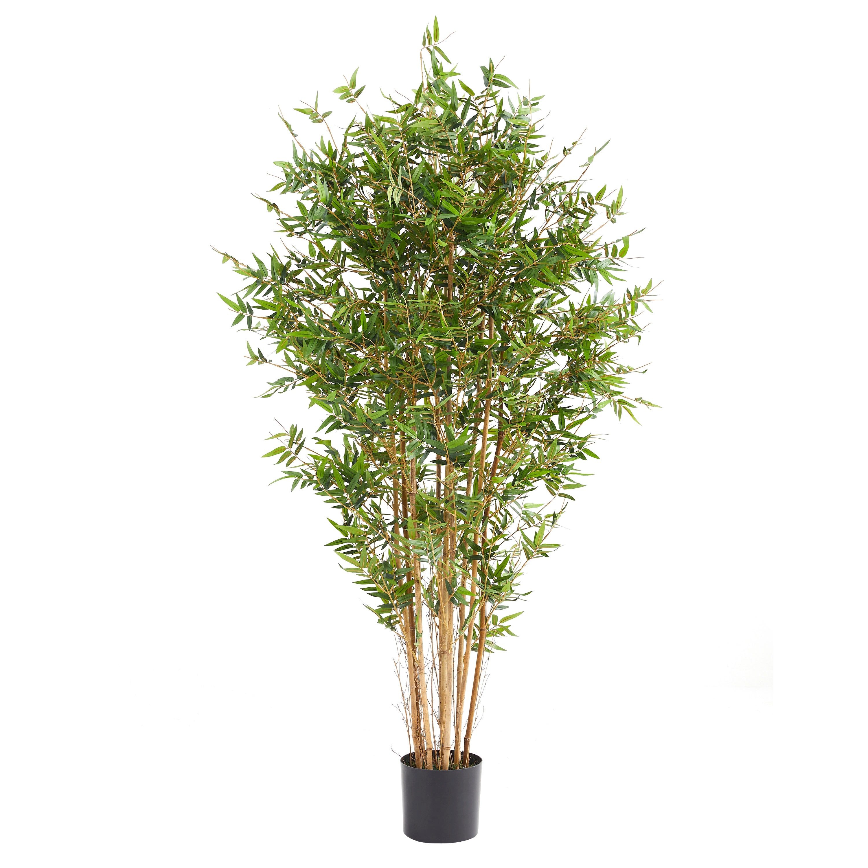 Kunstbaum Künstlicher Bambus – Renjirō, 180 cm, aplanta