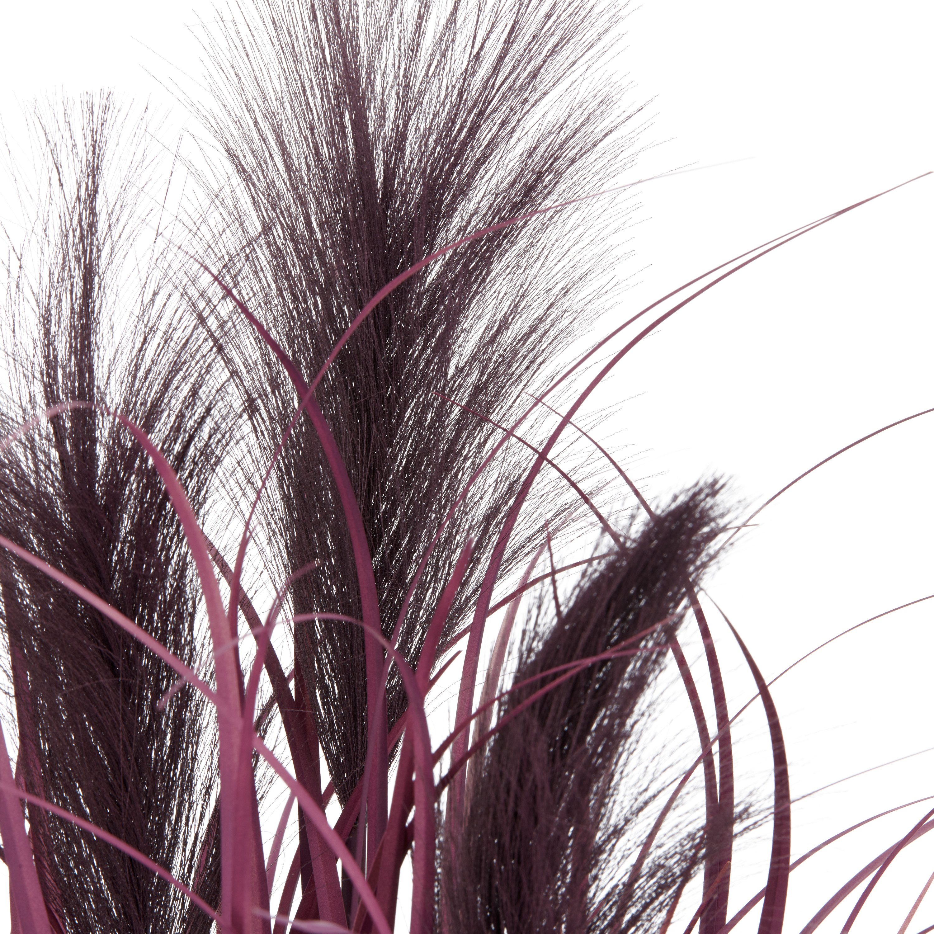 Kunstgras Pampasgras, Creativ green, Höhe 63 cm, in außergewöhnlicher Farbe günstig online kaufen