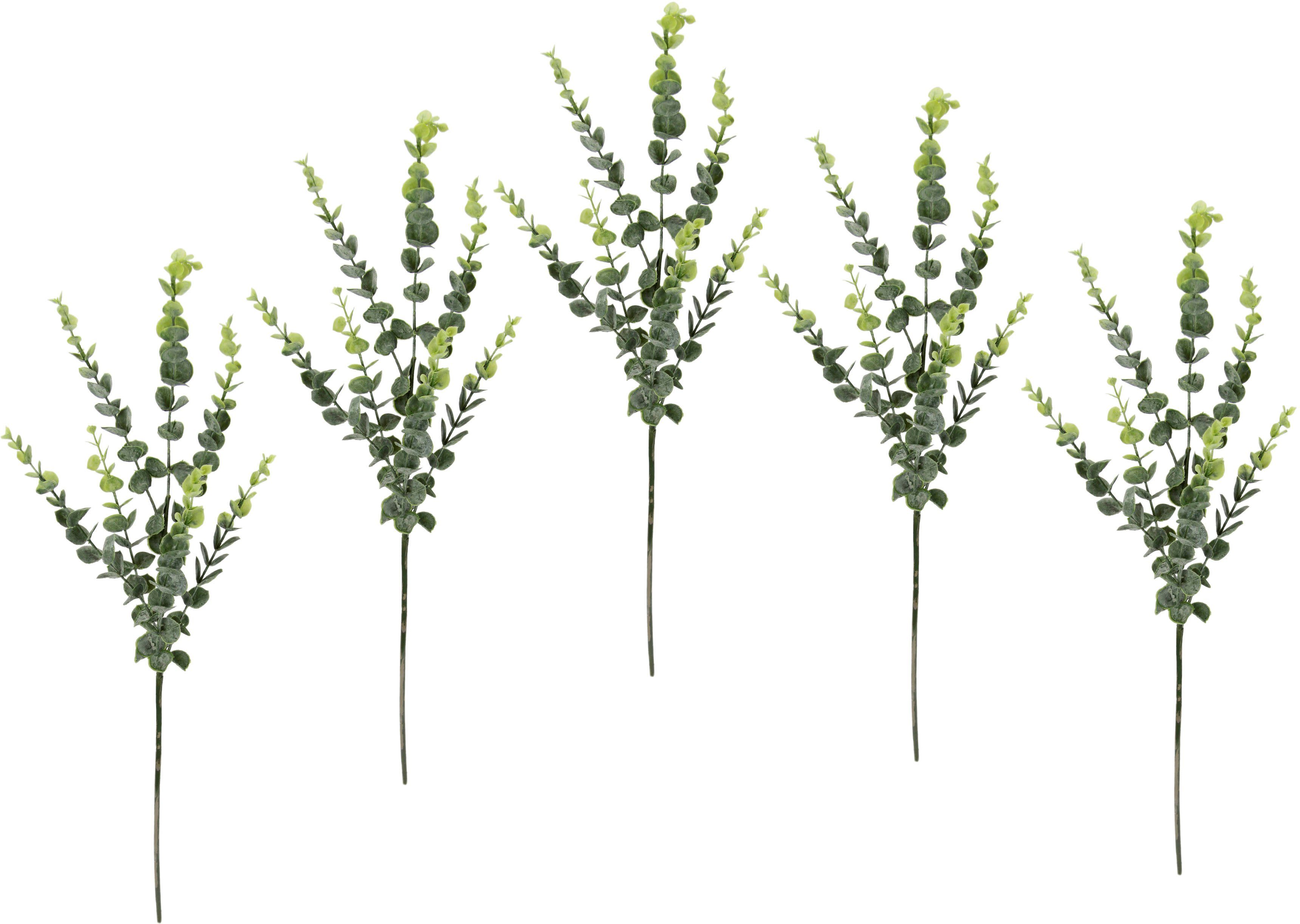 Kunstzweig Eukalyptus, I.GE.A., Höhe 70 cm, 5er Set, künstlicher Blattzweig