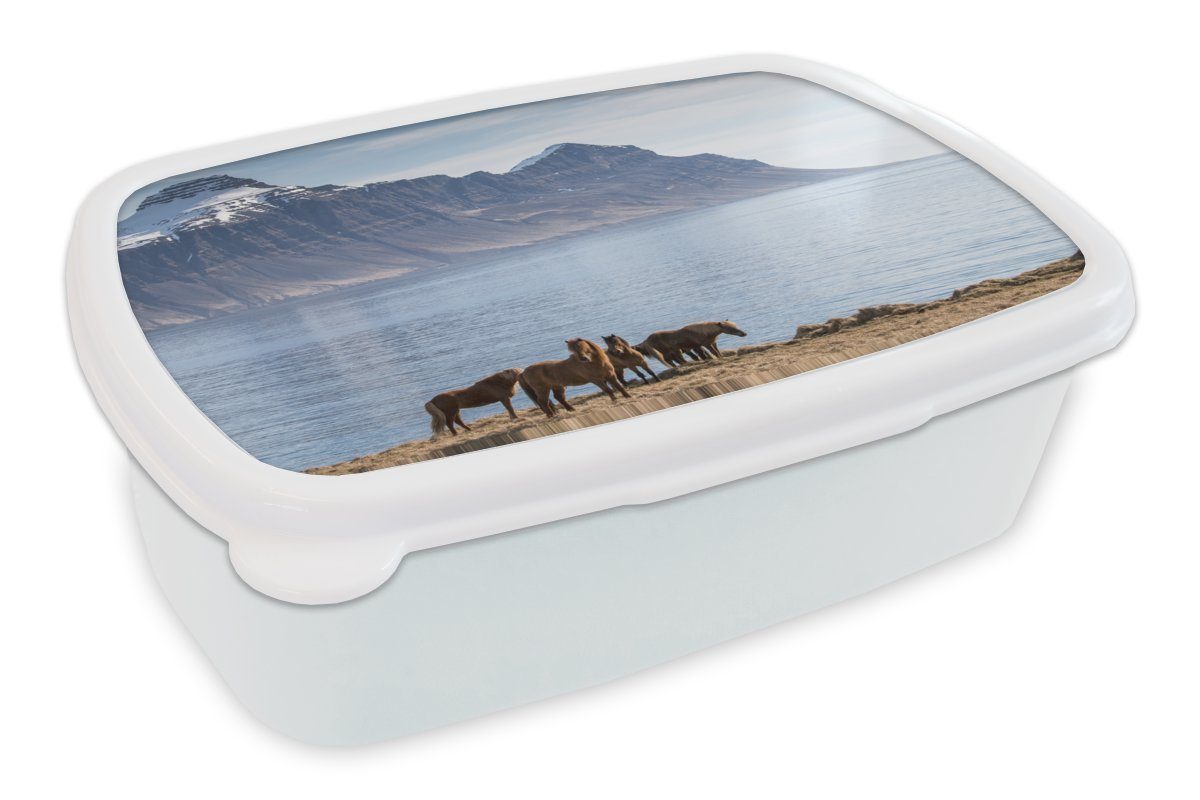 MuchoWow Lunchbox Nahaufnahme von Isländerpferden an einem See, Kunststoff, (2-tlg), Brotbox für Kinder und Erwachsene, Brotdose, für Jungs und Mädchen weiß