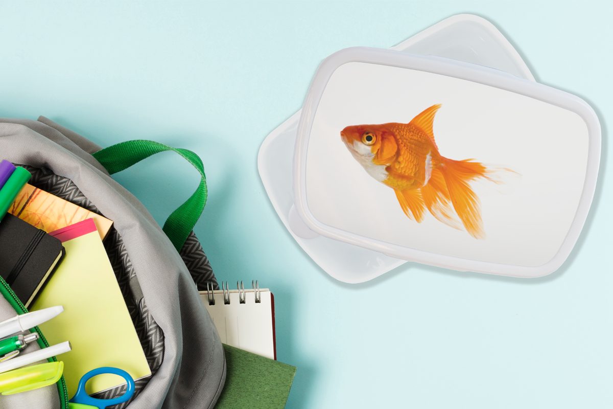 - für - Mädchen Weiß, MuchoWow Kunststoff, und und Goldfisch Fisch Jungs Erwachsene, Brotbox (2-tlg), Lunchbox für Kinder Brotdose,