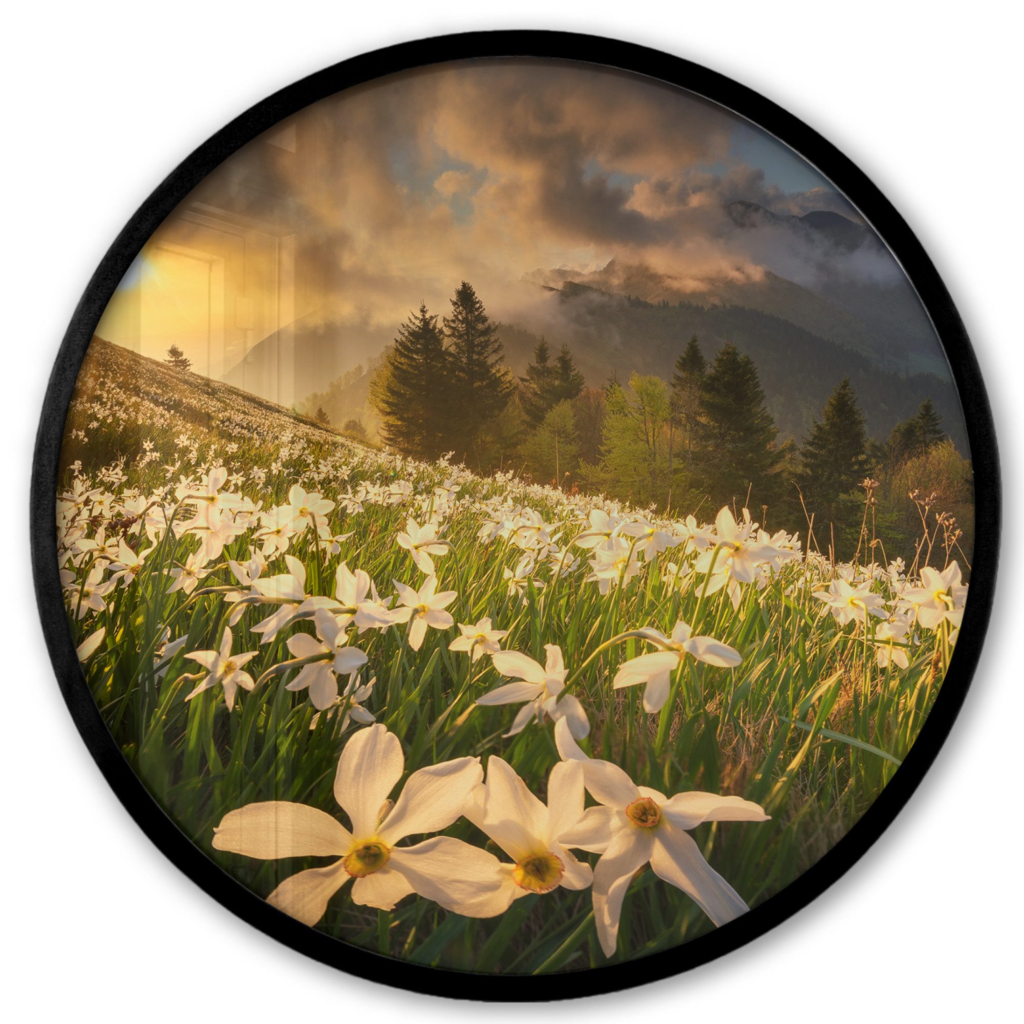 MuchoWow Poster Rund - Blumenfeld - Hügel - Sonnenuntergang - Berg - Natur - Weiß - Hü, (1 St), Runde Wandbilder, Deko für Wohnzimmer und Schlafzimmer, 40x40 cm