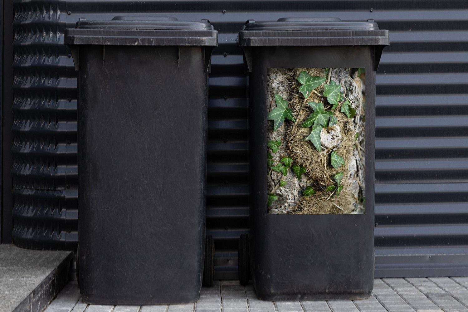 MuchoWow Wandsticker Die grünen (1 Mülltonne, St), einem Abfalbehälter Container, Sticker, Baum Mülleimer-aufkleber, Hedera-Blätter an