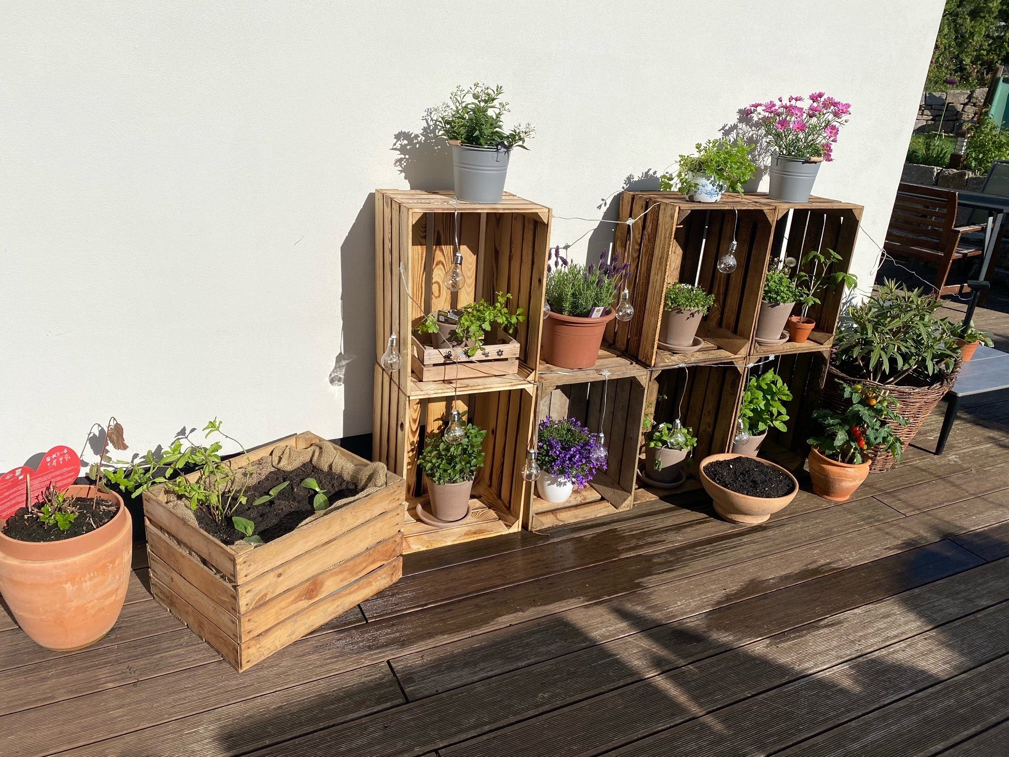 Kistenkolli Altes Land Allzweckkiste 6er Massive Holzkisten Alten Land Johanna DIY Hochbeet Sparset (Spar-Set, 1er Set)
