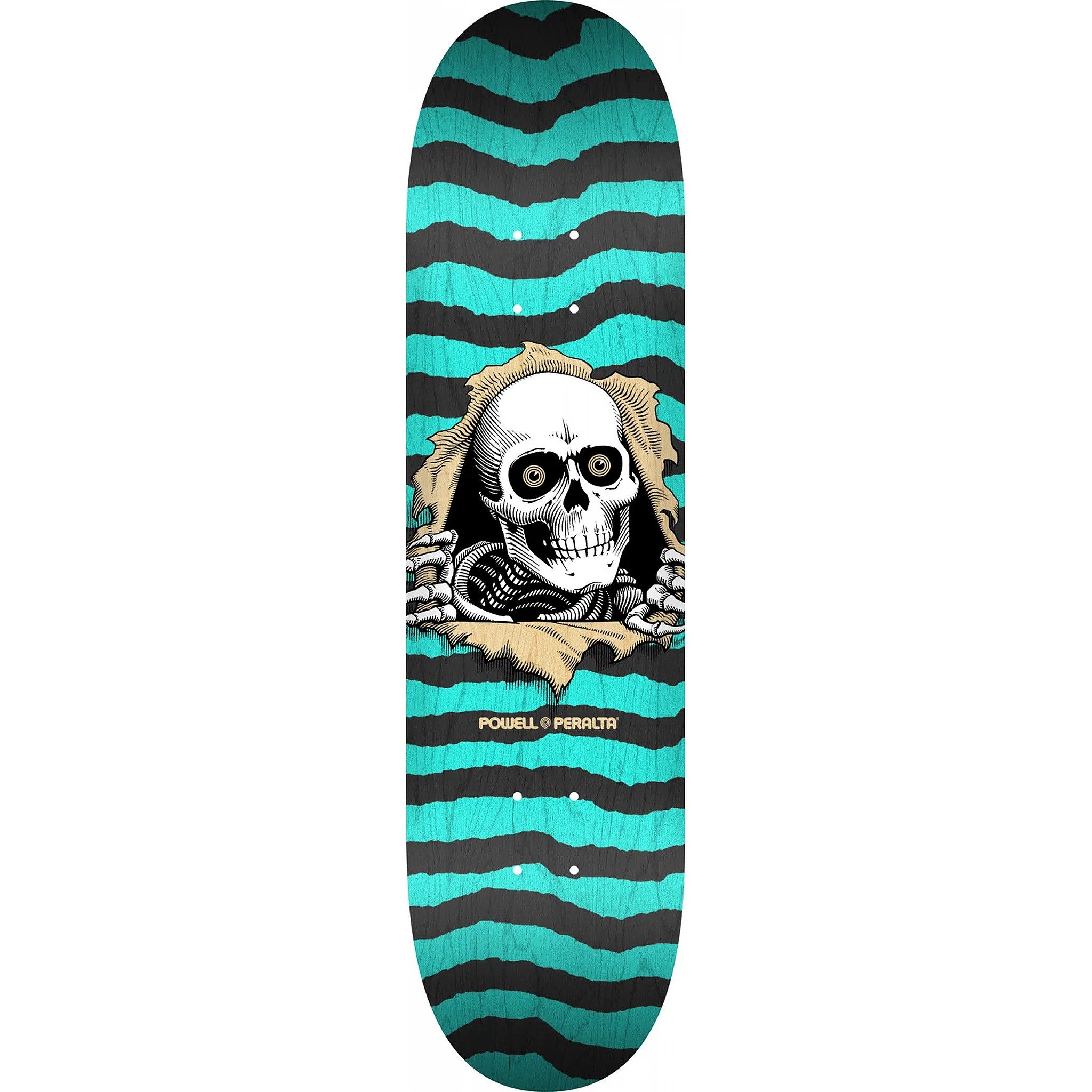 Powell Peralta Skateboard Powell Peralta Ripper Natural Turquoise – Deck 8.25" (Shape 248, K20)