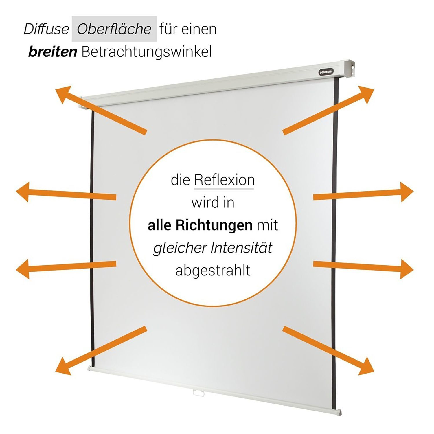 Celexon Professional Rolloleinwand (schwarze Rückseite)