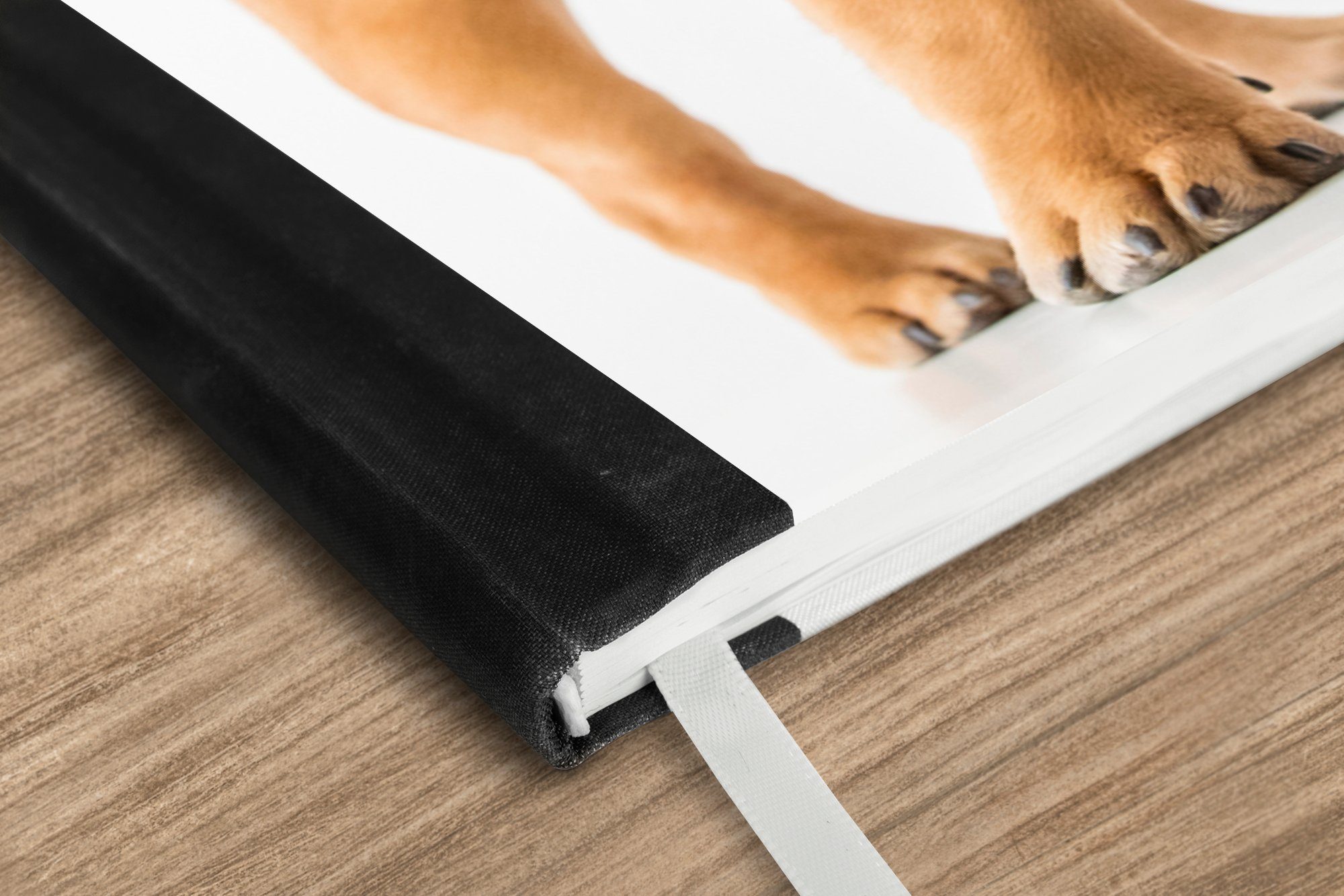 Thumbnail - MuchoWow Notizbuch Französische Bulldogge - Braun - Weiß, Notebook, Notizblock a5, Tagebuch, Journal Liniert