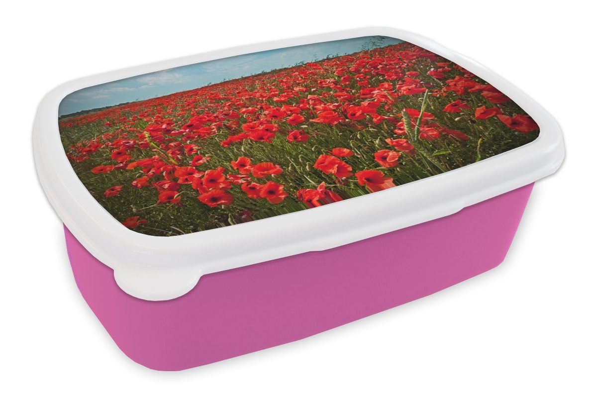 MuchoWow Lunchbox Eine Wiese voller Mohnblumen, Kunststoff, (2-tlg), Brotbox für Erwachsene, Brotdose Kinder, Snackbox, Mädchen, Kunststoff rosa