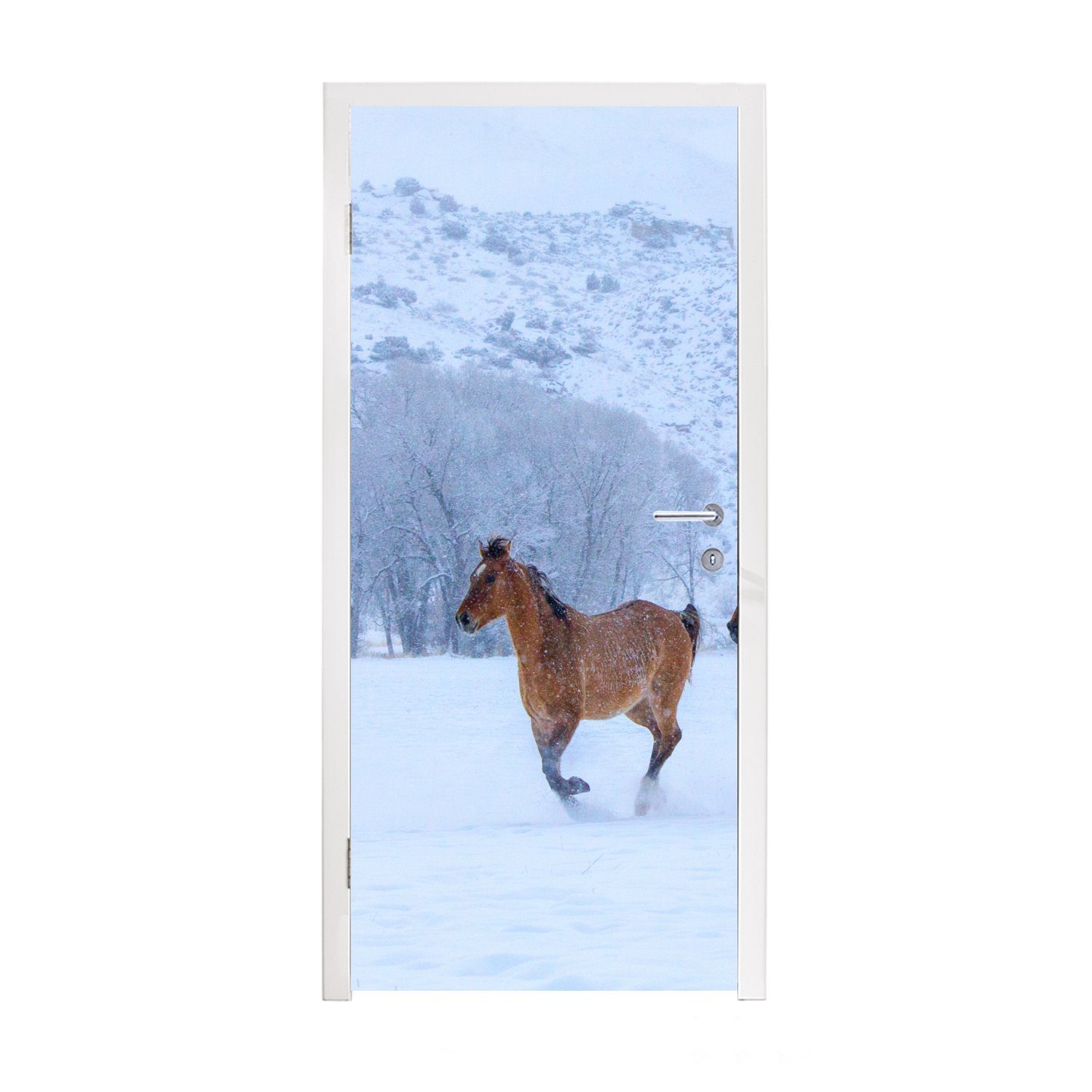 75x205 Matt, MuchoWow (1 Türaufkleber, Tür, Schnee Fototapete Türtapete cm - - für bedruckt, St), Winter, Pferde