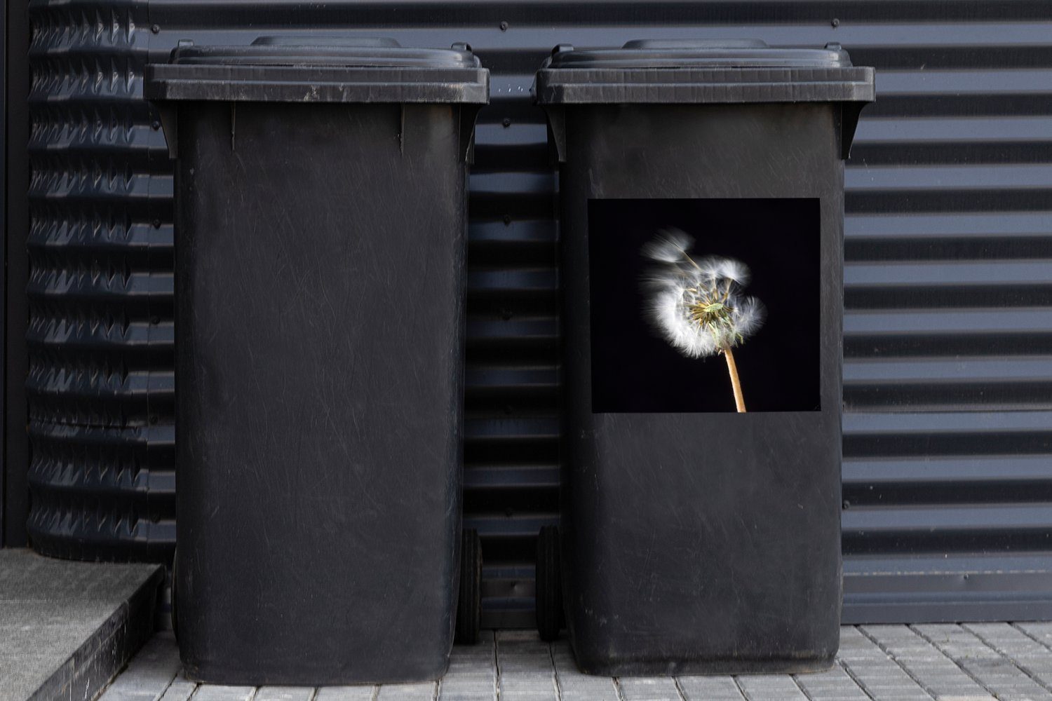 (1 Pollenblume auf MuchoWow Sticker, schwarzem Wandsticker Hintergrund St), Eine Container, Mülltonne, Mülleimer-aufkleber, Abfalbehälter