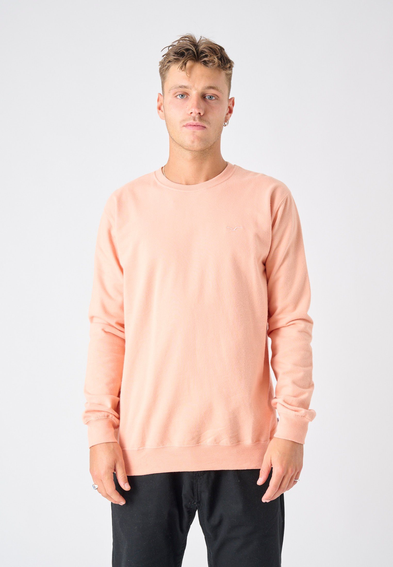 Cleptomanicx Sweatshirt "Ligull", mit kleiner Möwen-Stickerei günstig online kaufen