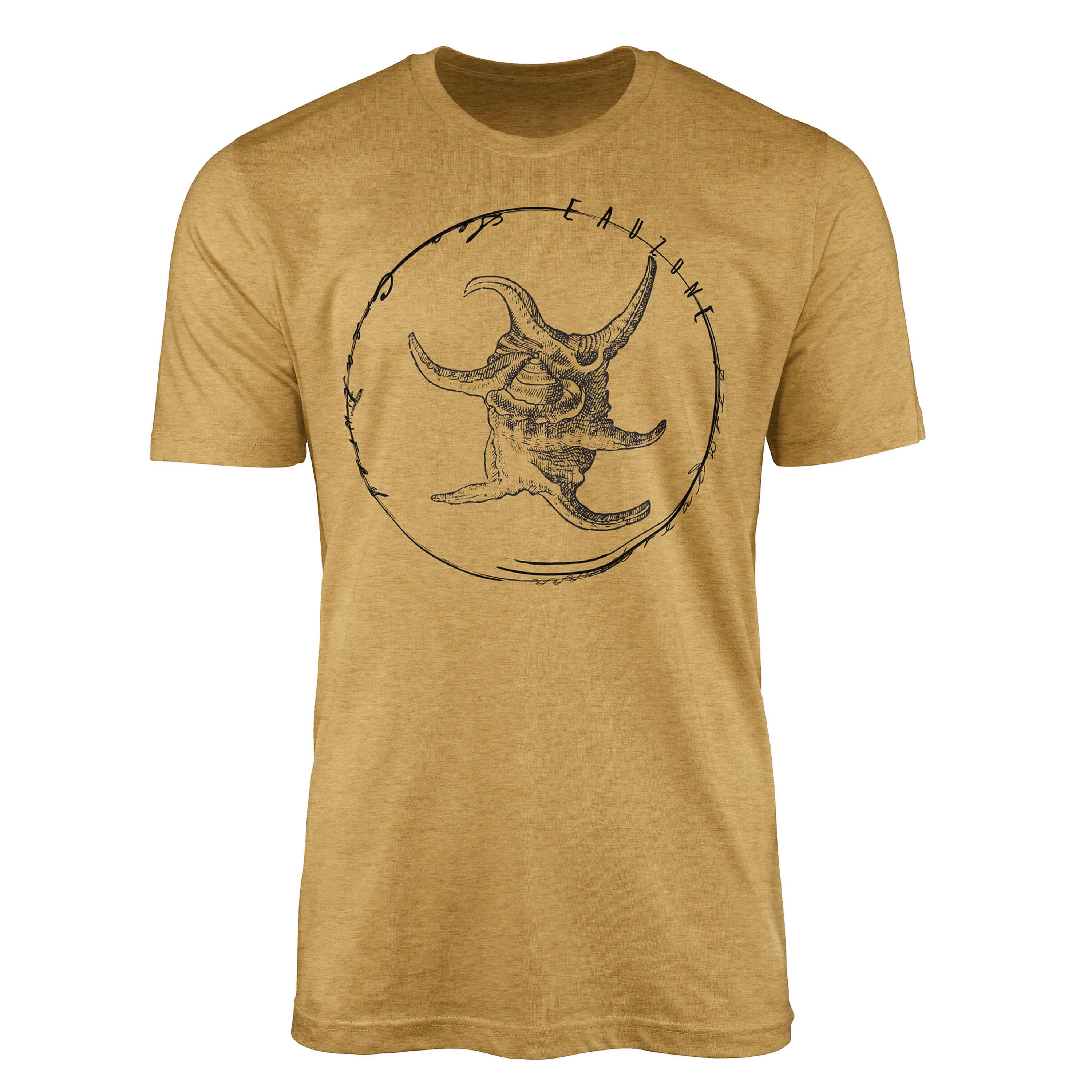 Schnitt T-Shirt T-Shirt Antique feine und Serie: Gold 043 Sea Struktur sportlicher Art Sea Tiefsee Sinus Creatures, Fische / -