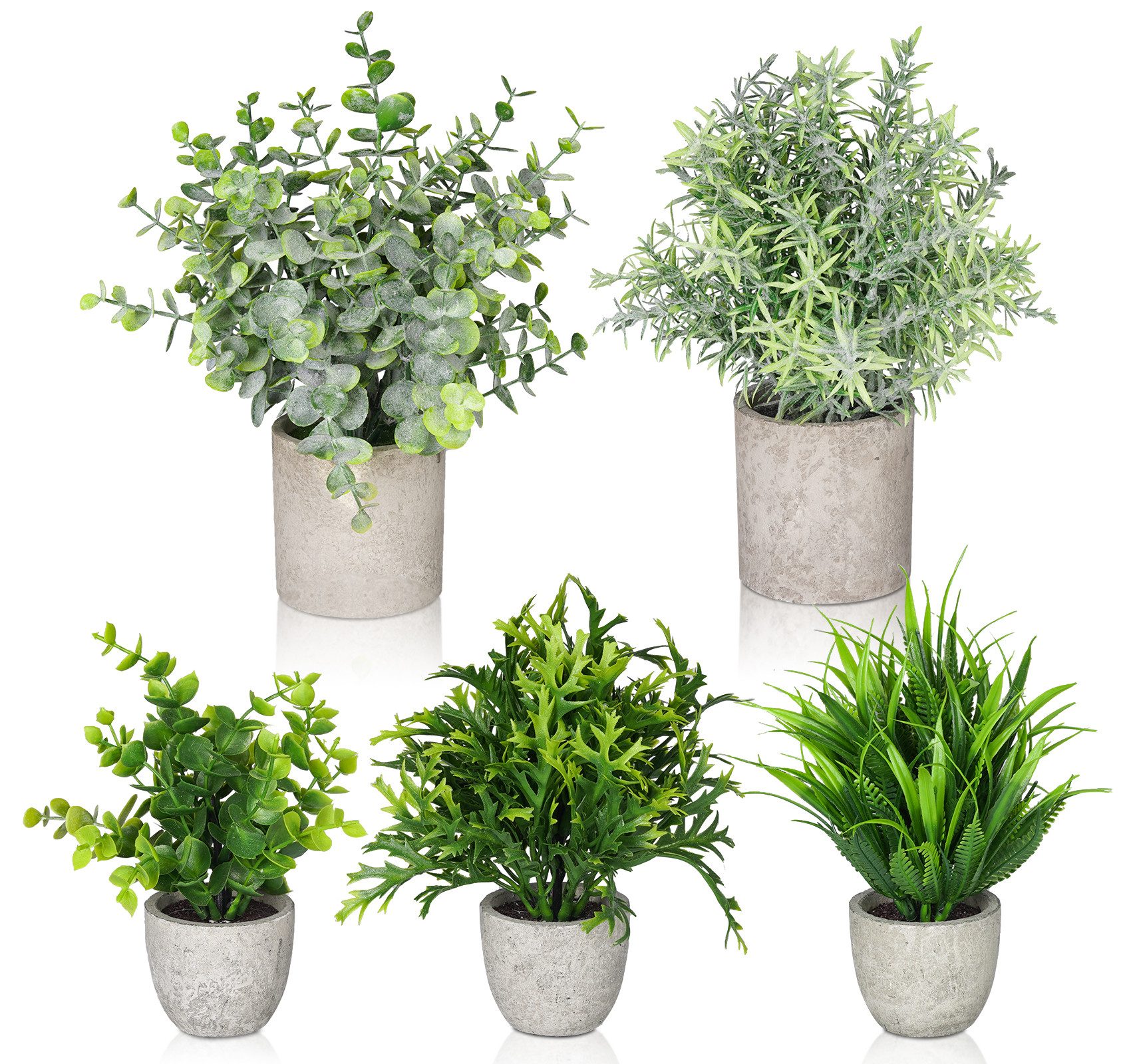 Künstliche Zimmerpflanze 5 Stück Mini Kunstpflanzen mit Töpfen Eukalyptus R günstig online kaufen