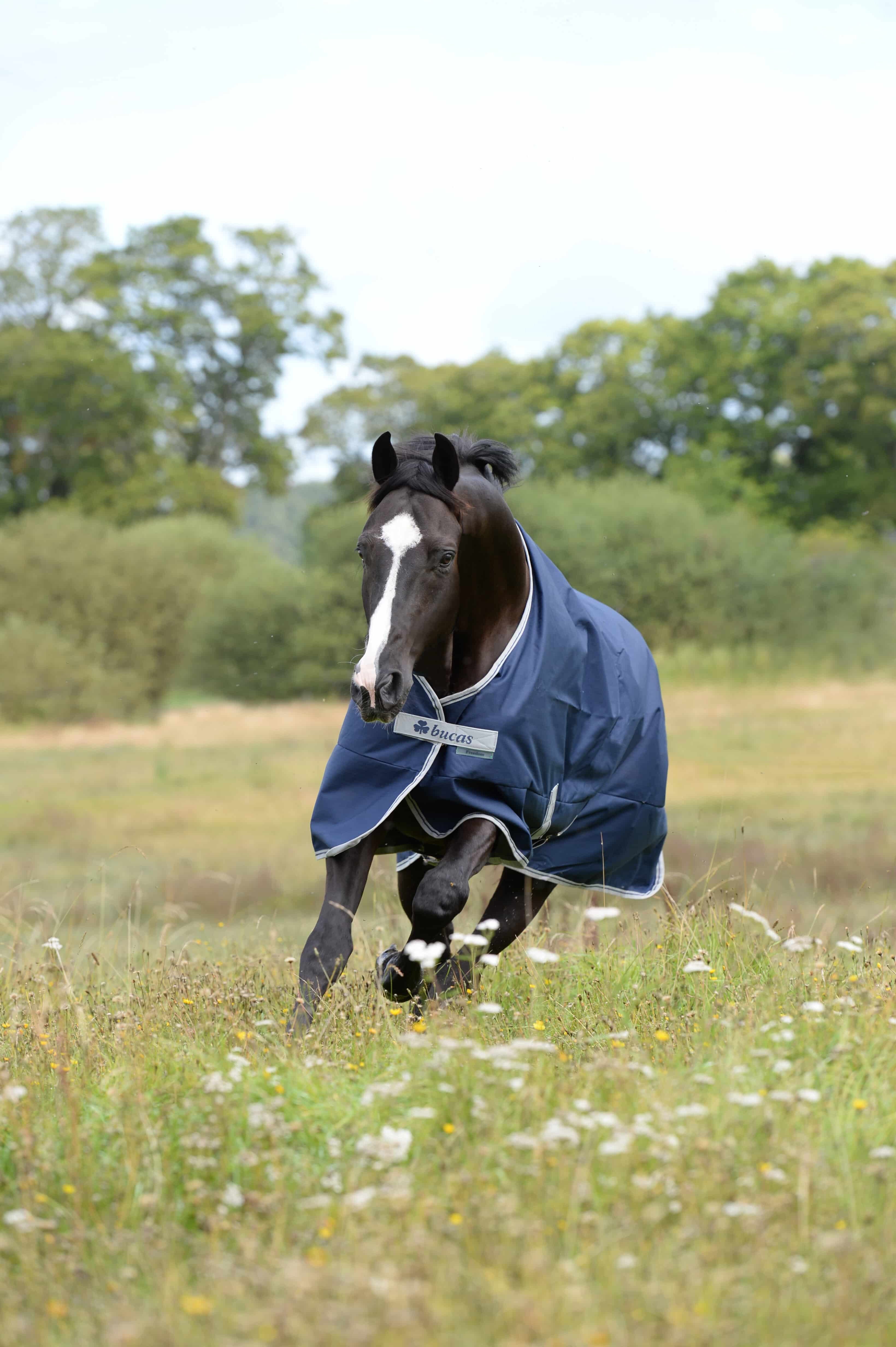 Bucas Ausreitdecke Outdoordecke Freedom Turnout Light High Neck in Navy