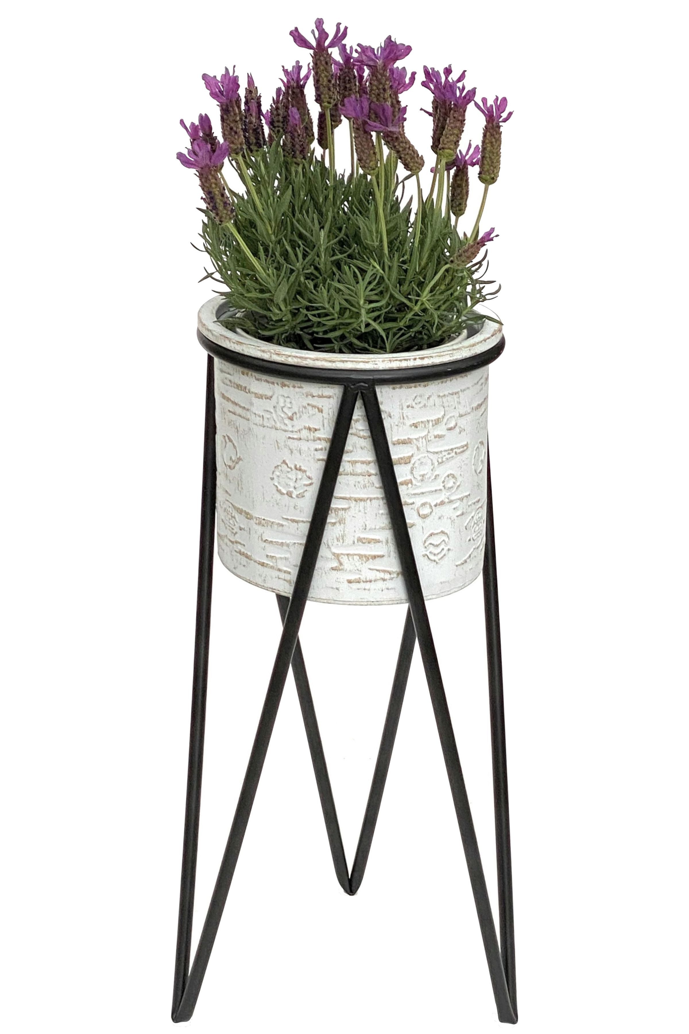 DanDiBo Blumenständer Metall Weiß Schwarz mit günstig online kaufen