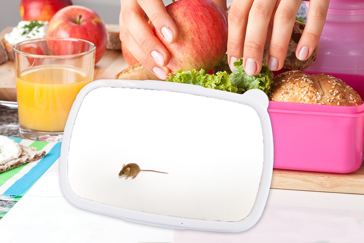 MuchoWow Lunchbox Maus - Tiere Brotdose Mädchen, - Erwachsene, Weiß, Kunststoff Kunststoff, Snackbox, (2-tlg), rosa Brotbox für Kinder