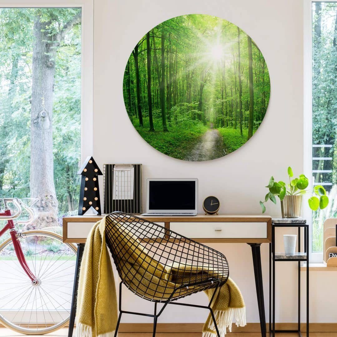 K&L Wall Art Alu-Dibond-Druck Metallposter rund Sonnenlicht Wald Spaziergan günstig online kaufen