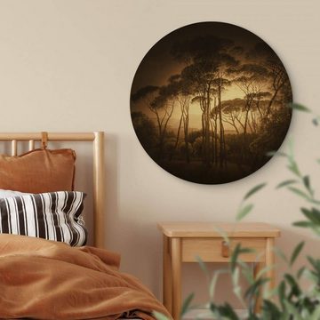 K&L Wall Art Gemälde Metallposter Rund Schirmkiefern Kiefern Wald Vintage Gold Sepia, Metalloptik Wandbild Ø 30cm