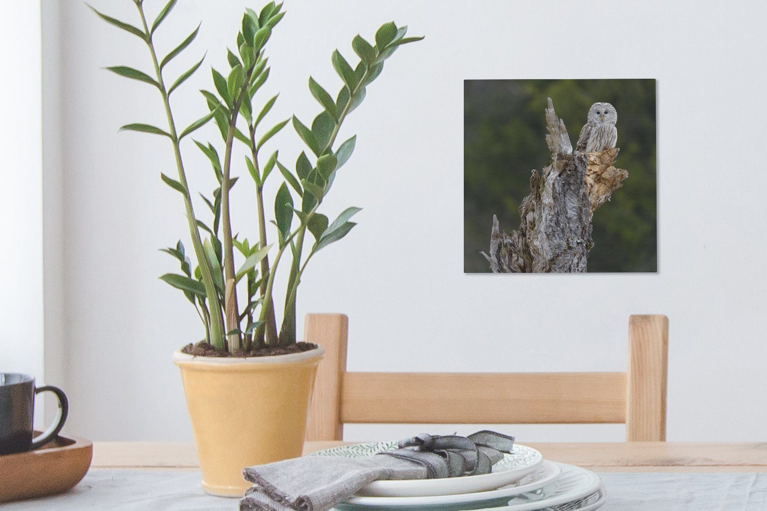 OneMillionCanvasses® Baumstamm, Wohnzimmer (1 Leinwandbild St), Steinkauz einem alten auf für Bilder Schlafzimmer Leinwand