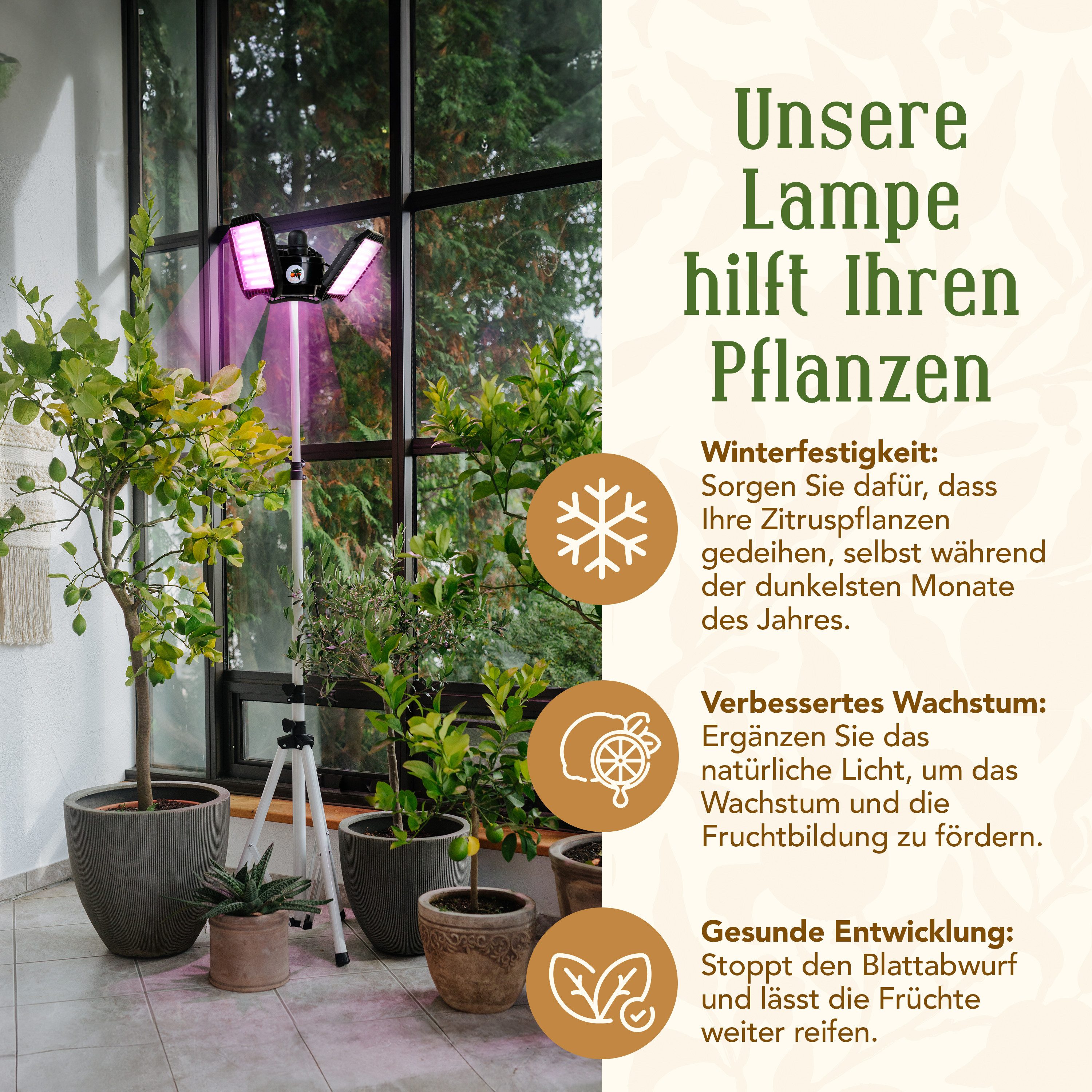 Meine Orangerie Pflanzenlampe FLEX – Spezialleuchte zur Überwinterung von Pflanzen, LED fest integriert, 450-750nm, LED-Pflanzenlampe Speziallichtquelle