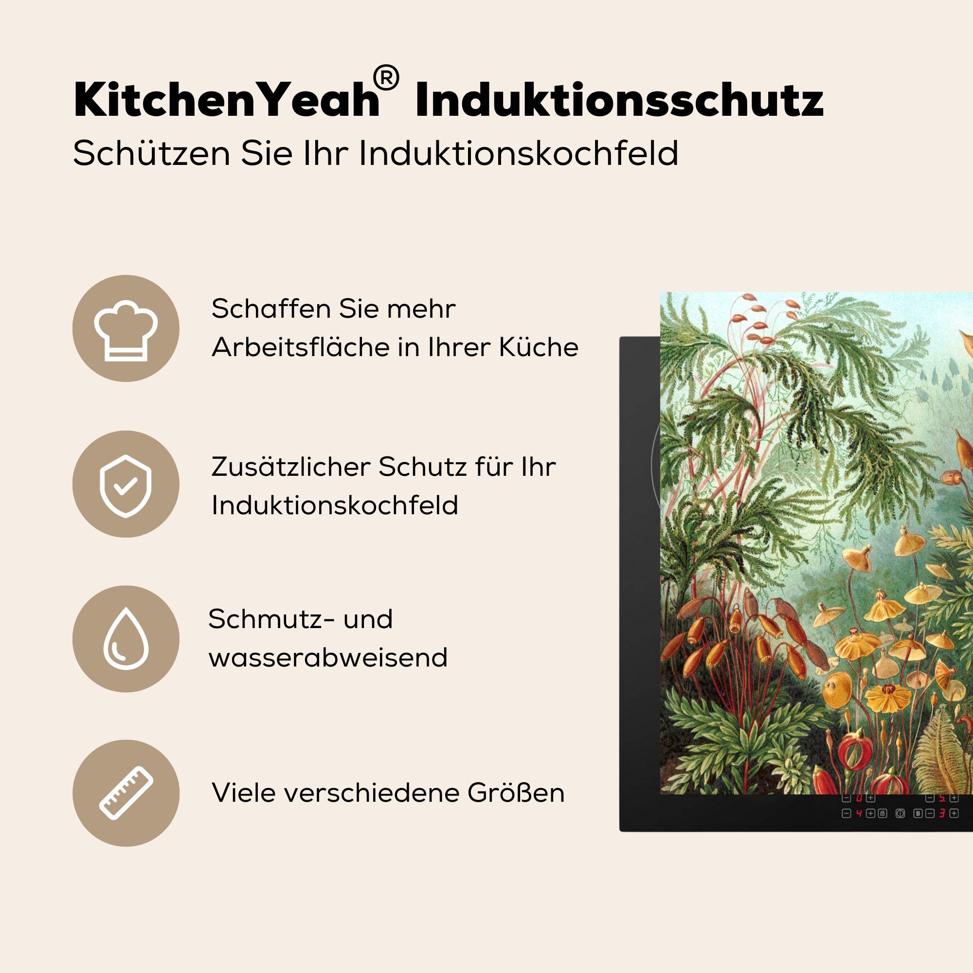 cm, - Ceranfeldabdeckung, für tlg), 78x78 MuchoWow Haeckel (1 küche Muscinae Ernst - Arbeitsplatte Vinyl, Herdblende-/Abdeckplatte Pflanzen,
