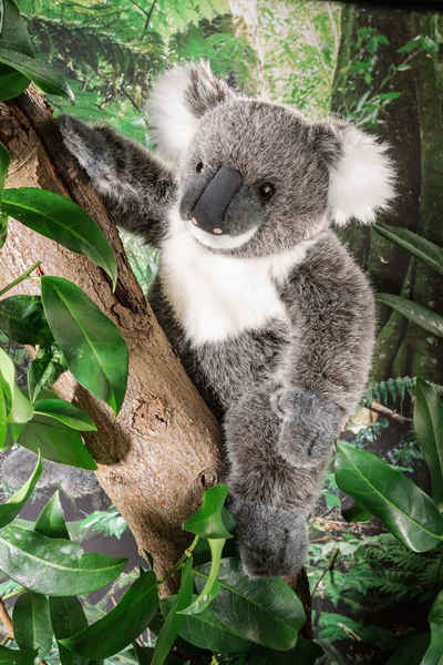 Kösen Kuscheltier KÖSEN Koala 25 cm grau Stofftier Plüschtier