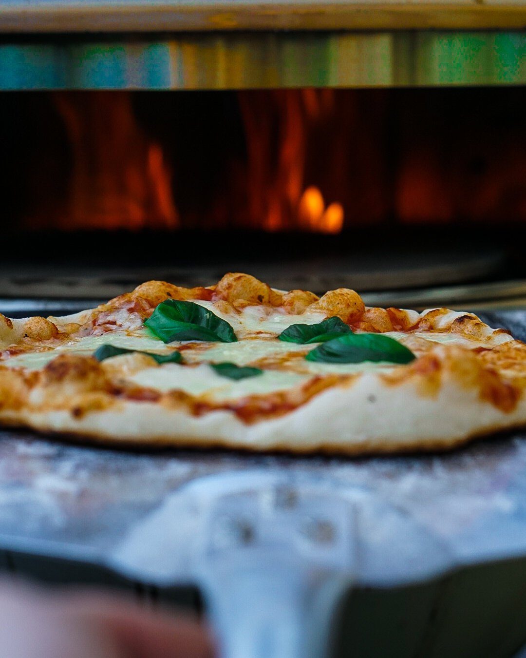 BBQ-Toro Grillspieß Edelstahl Pizzaring Set mit Grillspieß Weber Q200 / Q2000 Serie