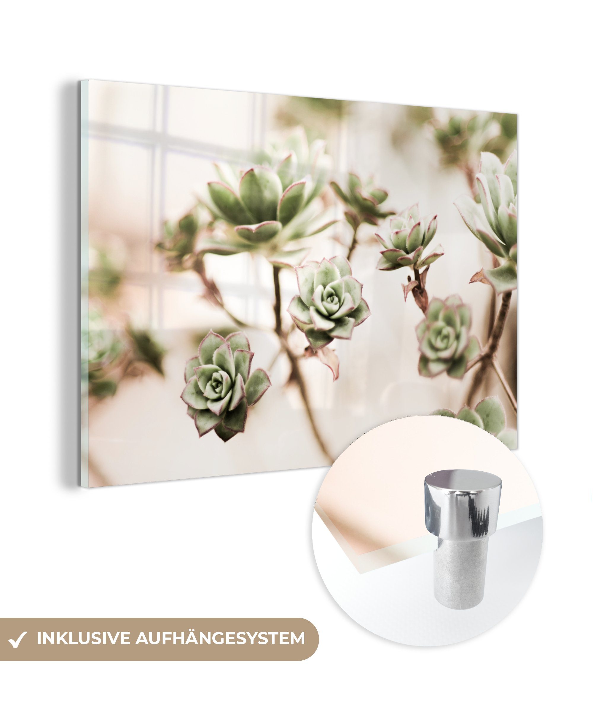 MuchoWow Acrylglasbild Blumen - Vetplant - Zweige, (1 St), Acrylglasbilder Wohnzimmer & Schlafzimmer