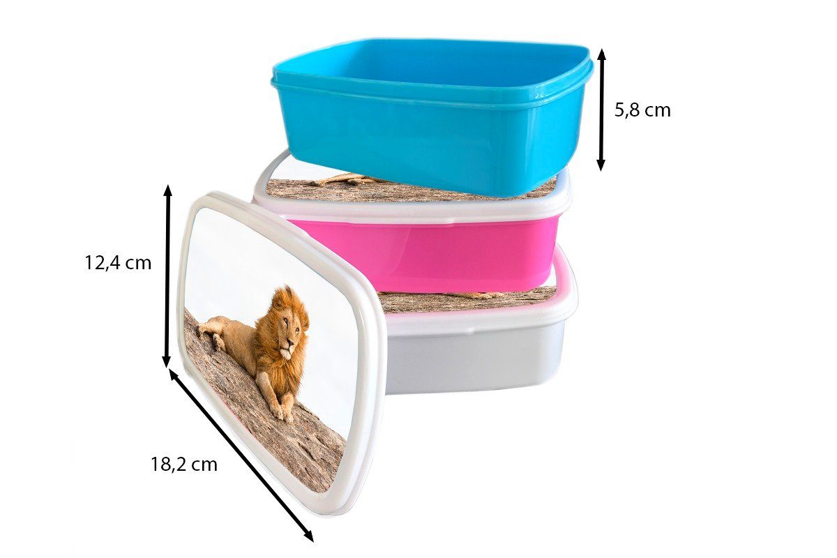 Felsen Löwe MuchoWow Lunchbox und Kinder Erwachsene, Kunststoff, (2-tlg), und Mädchen - für Wild, weiß Brotbox Brotdose, - für Jungs