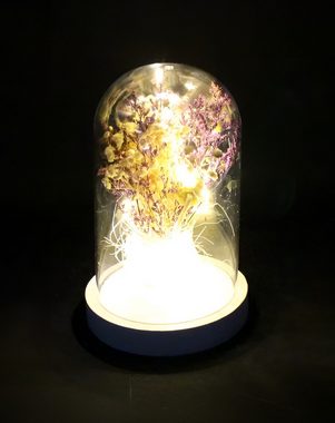 Dekoleidenschaft LED Dekoobjekt Dekoglocke "Lights" mit Trockenblumen-Strauss und LED Lichterkette, LED fest integriert, transparente Glocke auf Holzsockel, Kuppel, Leuchtdeko für Wohnzimmer