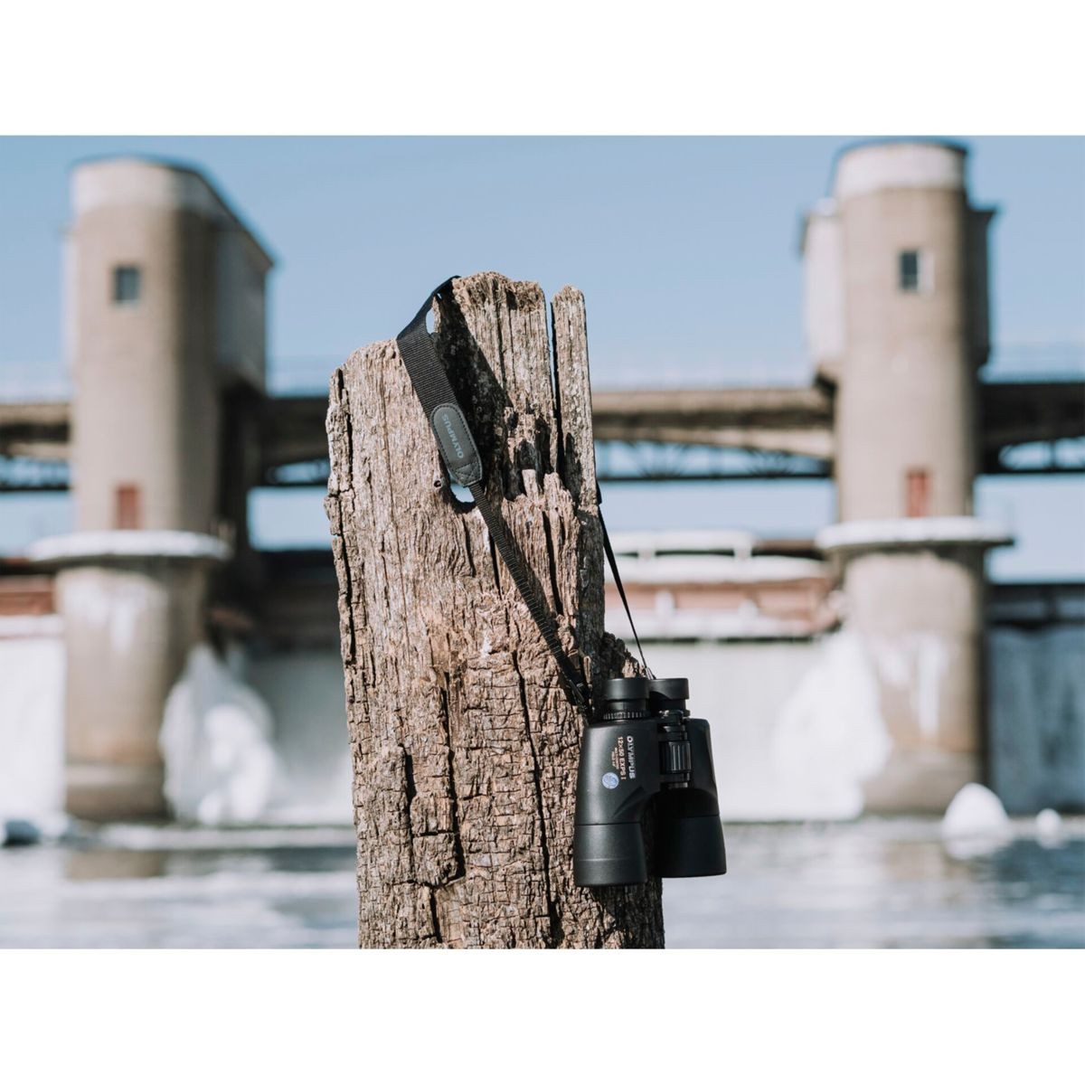 Olympus 12x50 EXPS I Fernglas