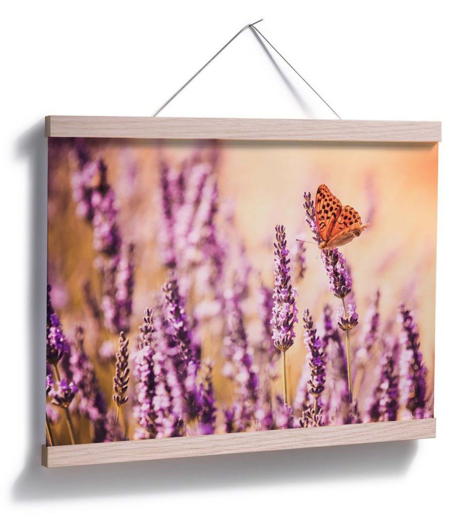 Wall-Art Poster Schmetterling Schmetterlinge Poster, Wandposter Lavendel, (1 Bild, Wandbild, St)