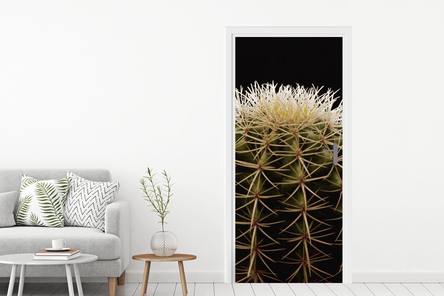 auf dornigen (1 schwarzem St), Matt, eines cm Nahaufnahme Kaktus 75x205 Hintergrund, Fototapete Türtapete Eine Türaufkleber, Tür, bedruckt, für MuchoWow
