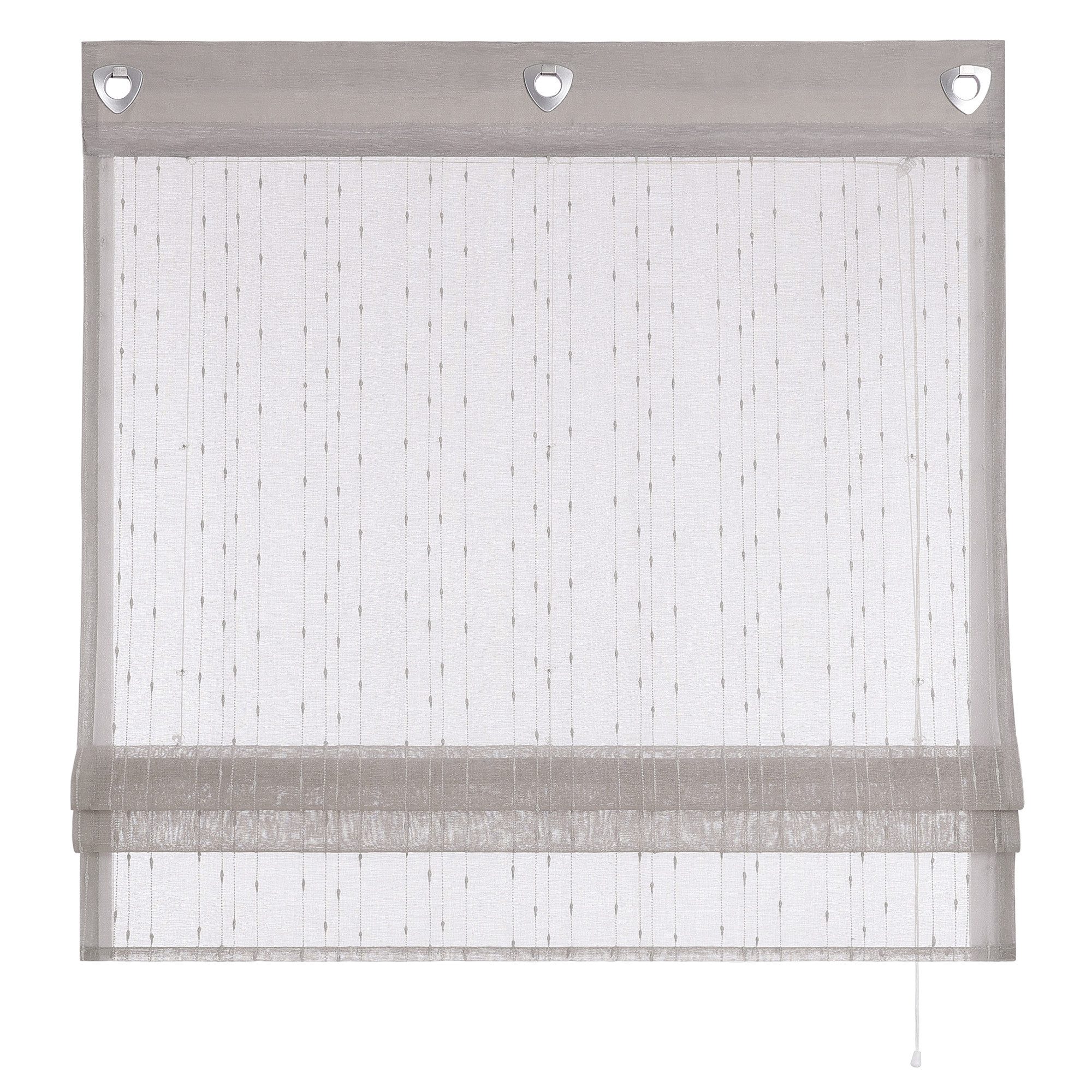 Delien Raffrollo Ursel, mit Hakenaufhängung, Voile Ösenrollo mit schönen Lä günstig online kaufen