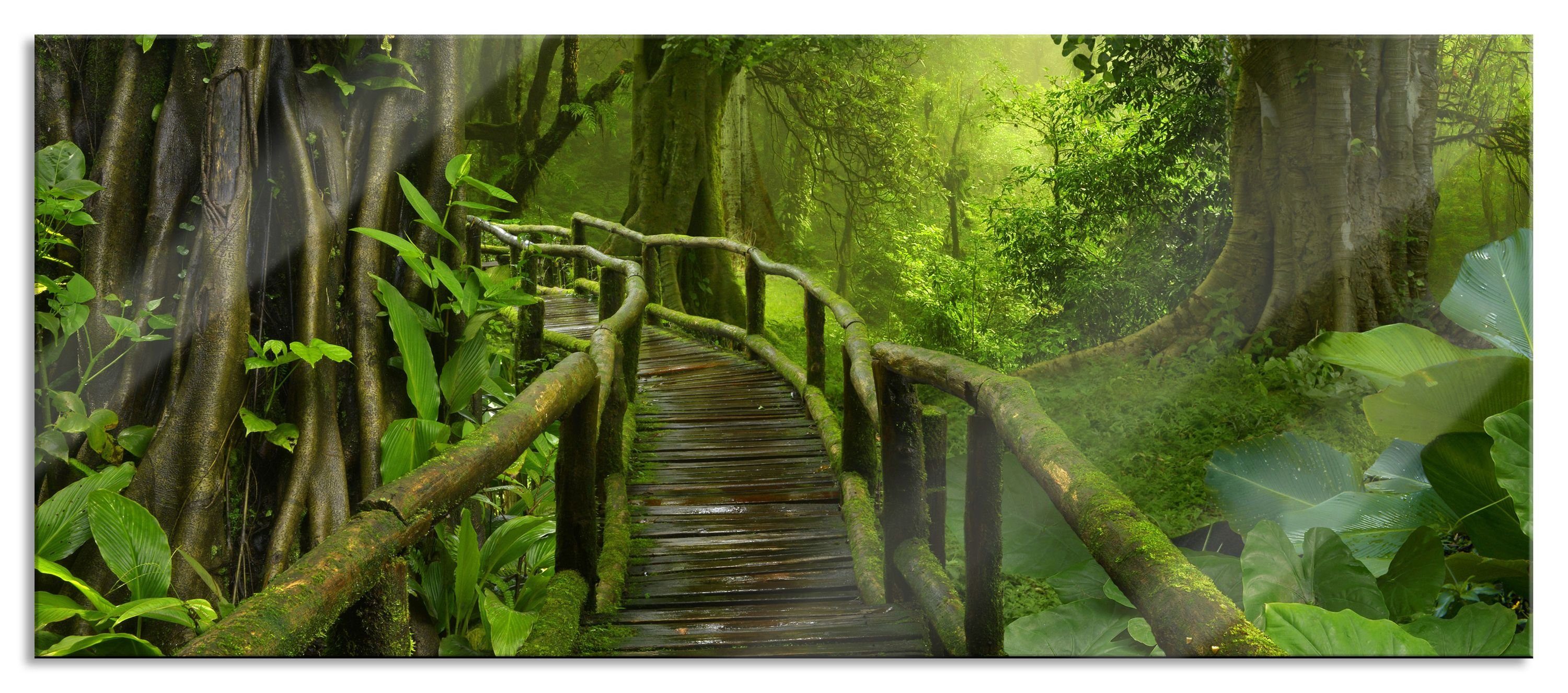 Pixxprint Glasbild Weg durch den Tropenwald, Weg durch den Tropenwald (1 St), Glasbild aus Echtglas, inkl. Aufhängungen und Abstandshalter | Bilder