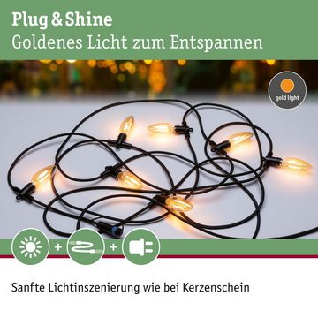 Paulmann Gartenleuchte LED Lichterkette Plug & Shine in Schwarz 7x 14W 980lm E14 7-flammig, keine Angabe, Leuchtmittel enthalten: Ja, LED, 1900, Gartenleuchten