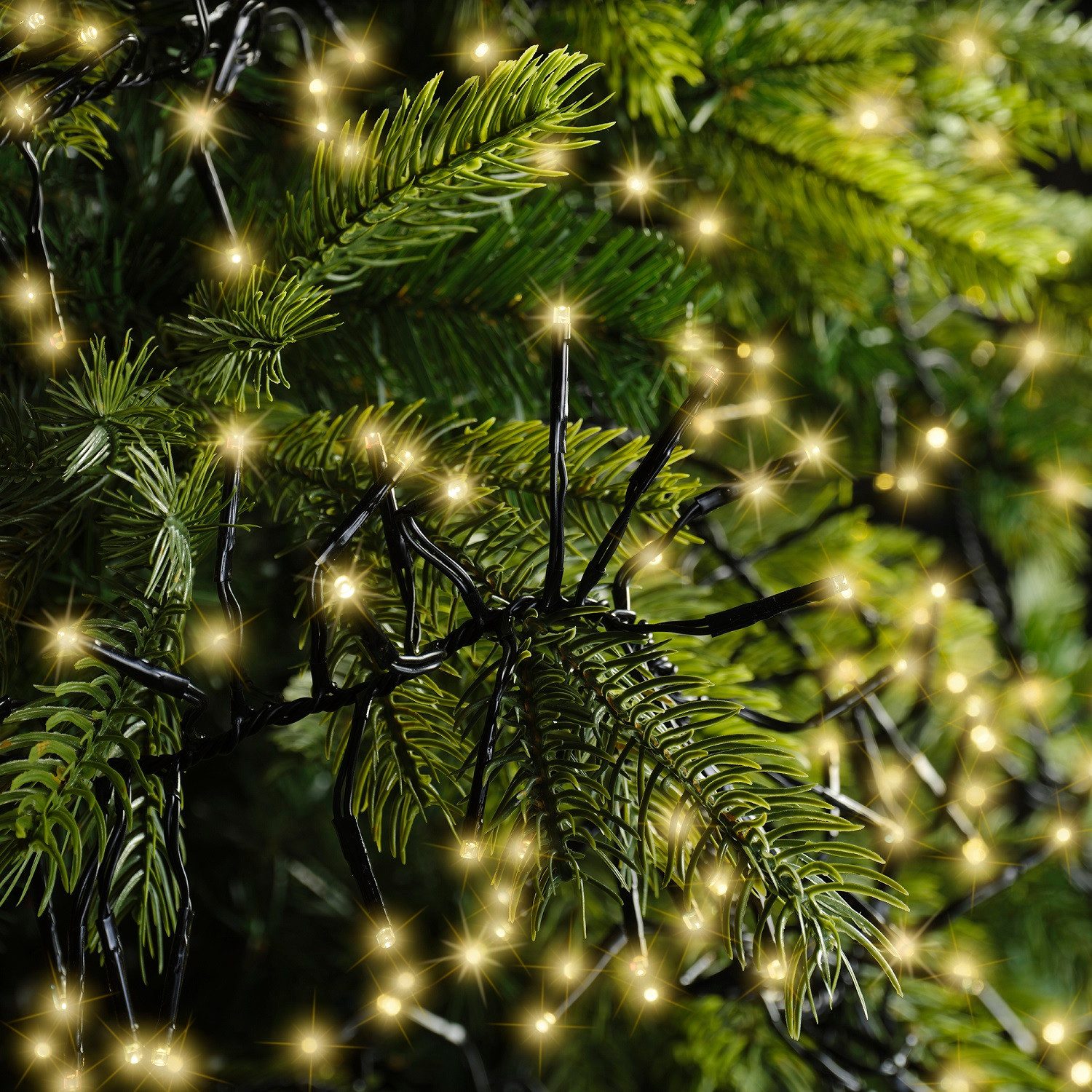 Lumineo LED-Lichterkette Lumineo Lichterkette CLUSTER 448 LED 4,2 m Soft Gold, schwarzes Kabel, Indoor/Outdoor, dimmbar, 8h-Timer, + 5 m Zuleitung – Bild 4 von 5