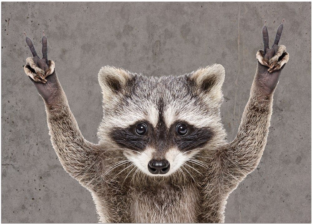 matches21 HOME & HOBBY Fußmatte Türmatte Waschbär lustig in 50x70 cm als Fu günstig online kaufen