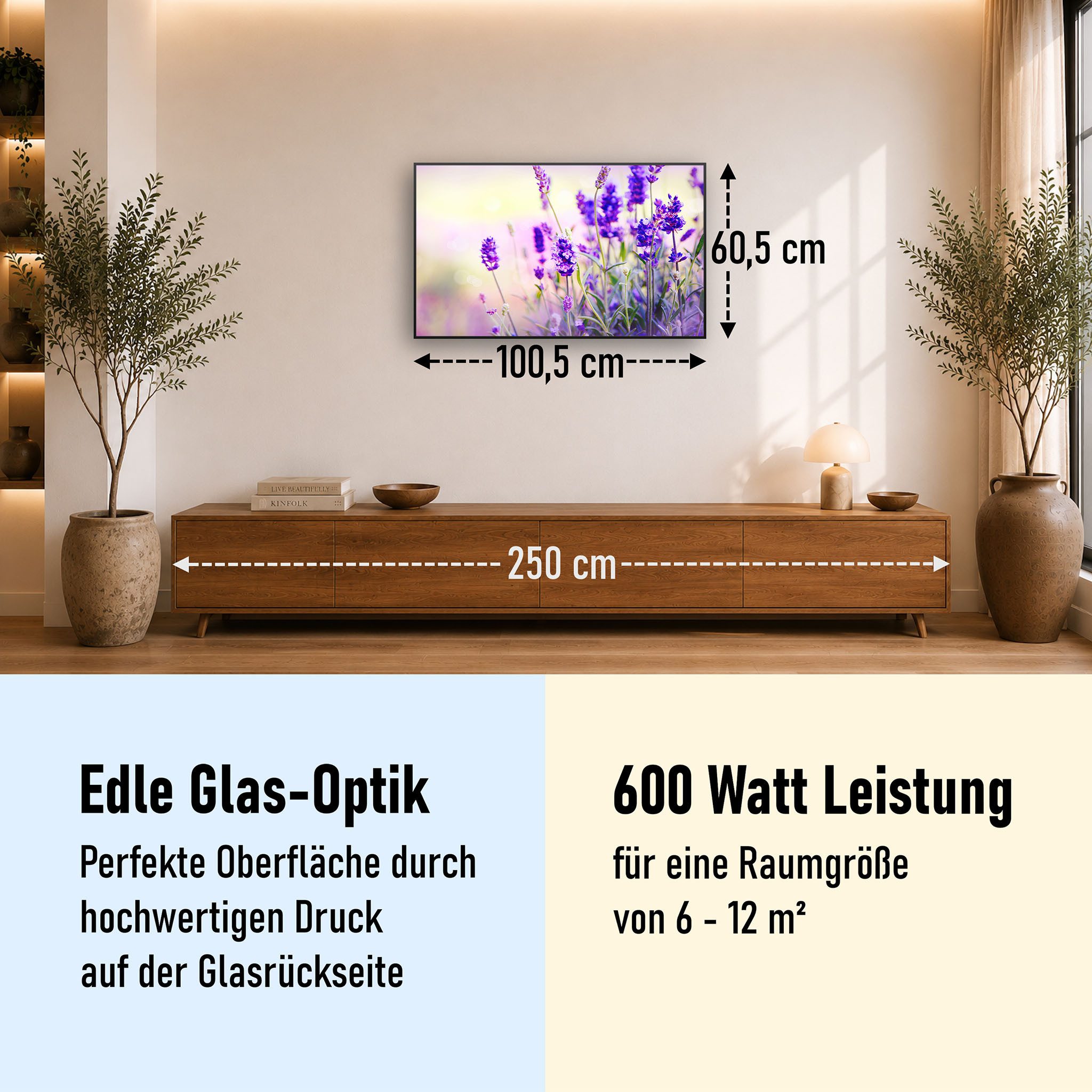STEINFELD Heizsysteme Infrarotheizung Glas-Bild 600W, 100x60cm, Made in Germany, 7 Jahre Garantie, mit Thermostat, Schwarz