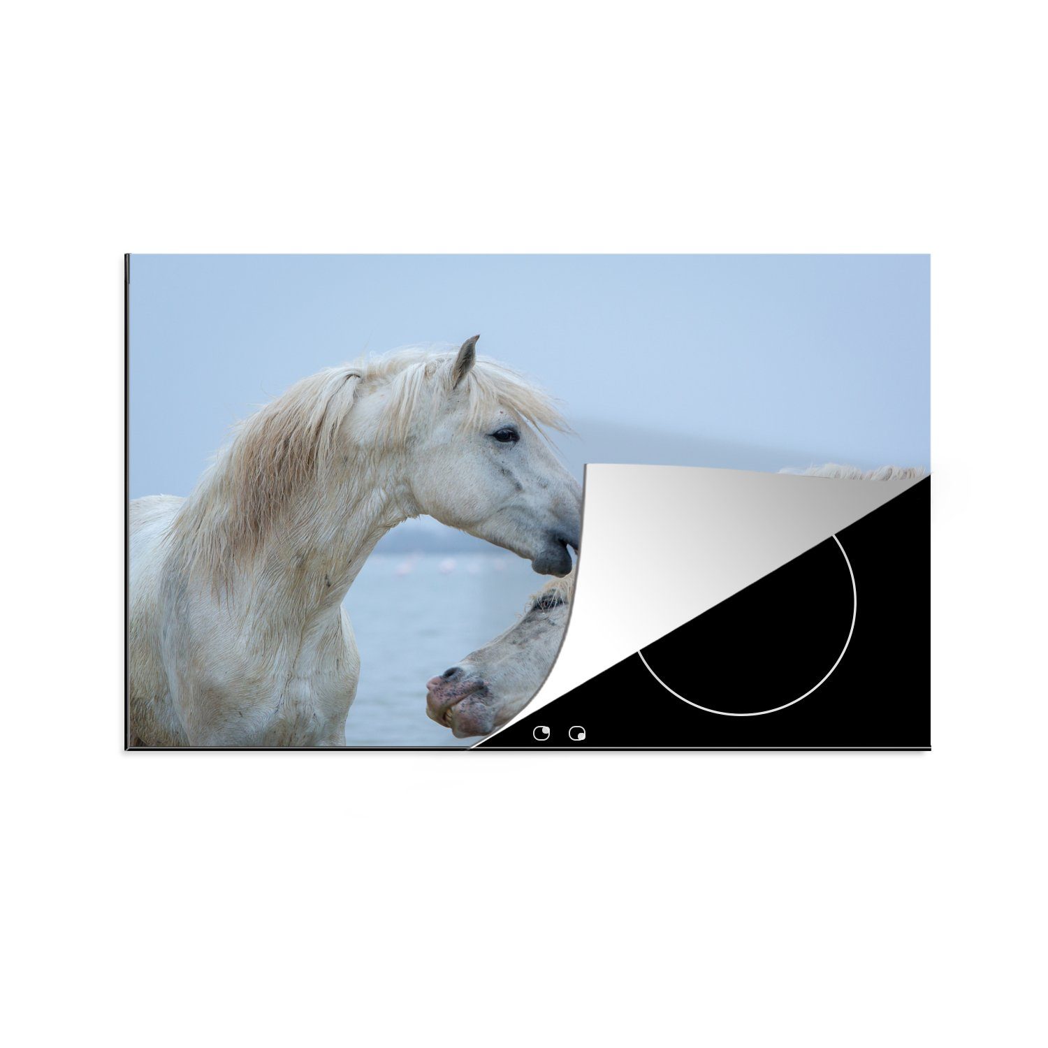 MuchoWow Herdblende-/Abdeckplatte Pferd flüstert einem anderen Pferd in der Camargue etwas zu, Vinyl, (1 tlg), 81x52 cm, Induktionskochfeld Schutz für die küche, Ceranfeldabdeckung