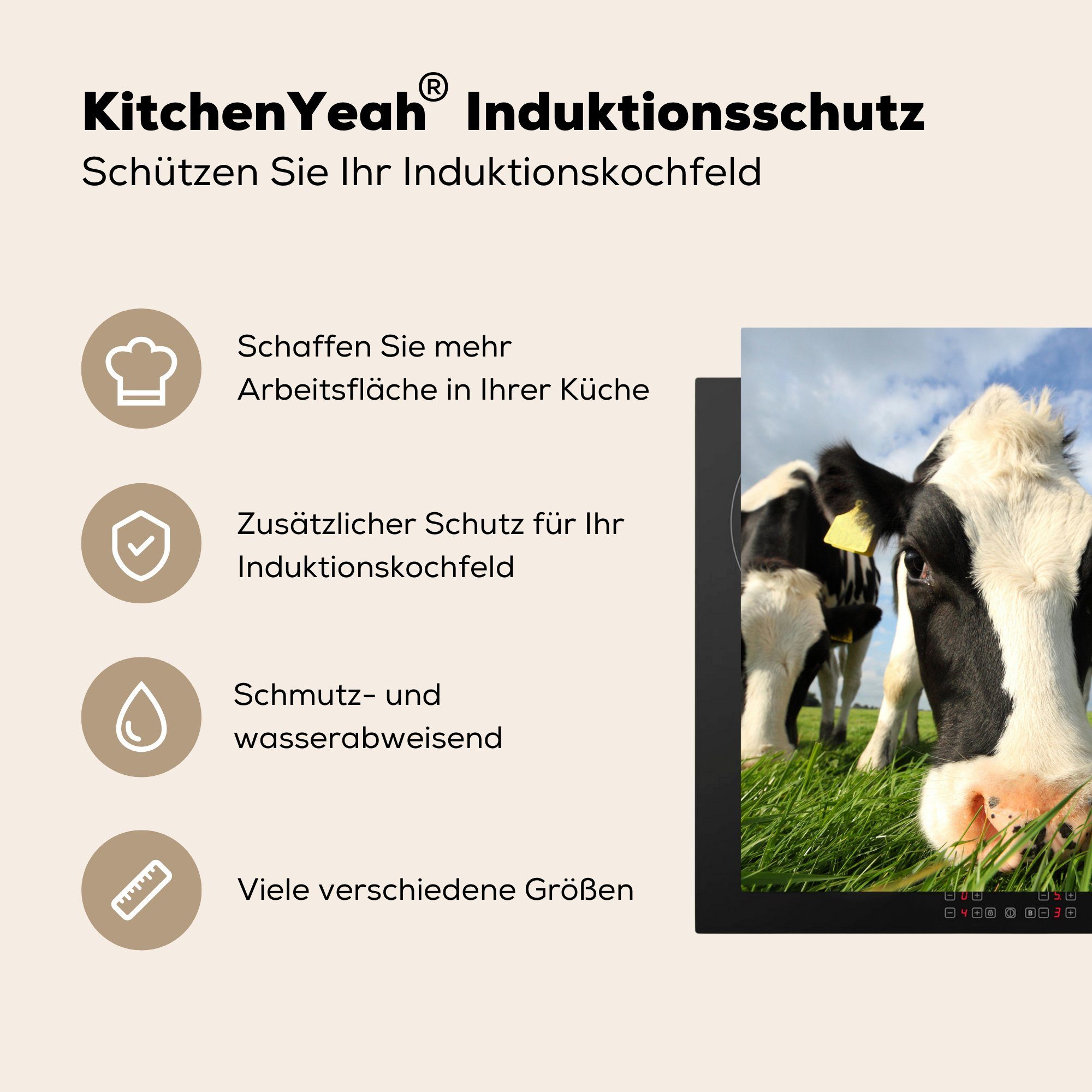 MuchoWow Herdblende-/Abdeckplatte Kuh - Gras (1 Luft, tlg), - Ceranfeldabdeckung, 78x78 cm, für Vinyl, - küche Arbeitsplatte Nase