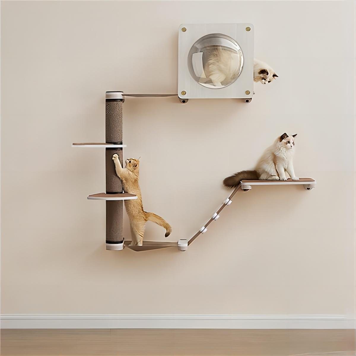 FEANDREA Kratzbaum, Clickat Oasis Kletterwand Katzenmöbel 5er Set, waschbar - FeanDrea Kratzbaum Clickat Oasis KletterwanD Katzenmoebel 5er Set Waschbar